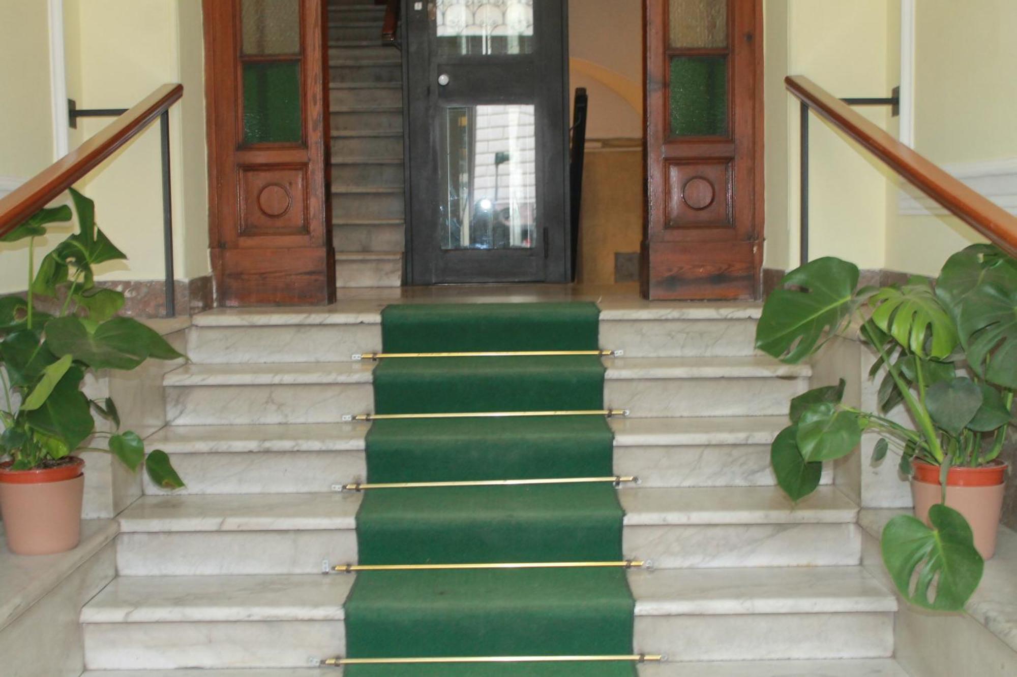 Daffodil In Roma San Pietro Bed & Breakfast Exterior photo